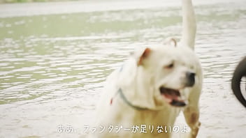 犬、ファンタジー／重音テトsv