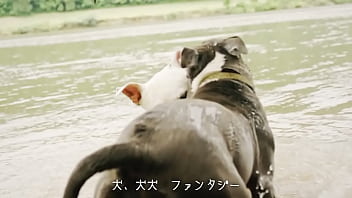 犬、ファンタジー／重音テトsv