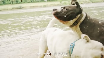 犬、ファンタジー/重音テトsv 犬、ファンタジー/重音テトsv
