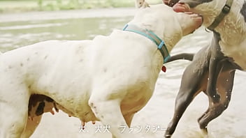 犬、ファンタジー/重音テトsv thumbnail