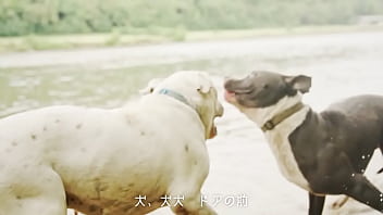 犬、ファンタジー／重音テトsv