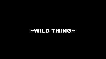 ''wild thing''