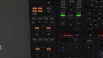 Saab 340 startup tutorial for flight sims