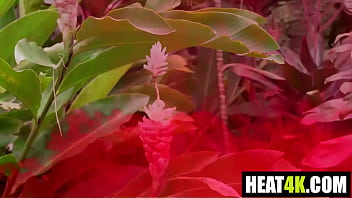 Greenhouse of gotham