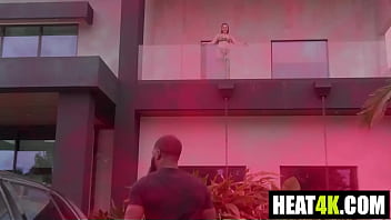 Greenhouse of gotham