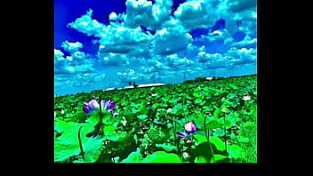 ចូលចិត្ត