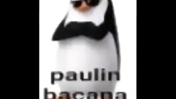 Paulin bacana Paulin bacana