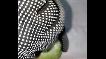 Tiny petite orange gets pounded by cucumber