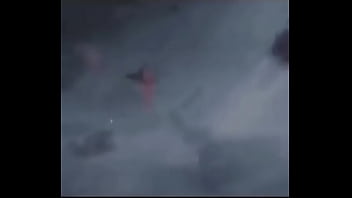 Eeeeita olha o primeiro meme da gata