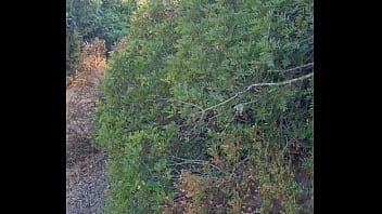 Allez Venez Je Vous Amène Dans Le Maquis Corse Pour Une Exib Hummmm thumbnail