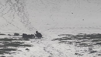 5 amigos passeando peladões na praia da areia branca em salvador