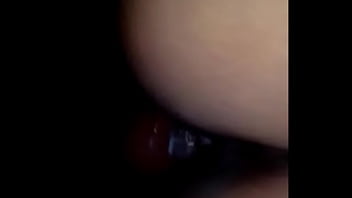 Se la come de a perrrito