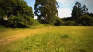 Dos memes 2 sexo putaria penis