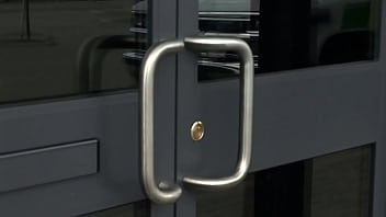 Sativa rose blows and takes dick from behind