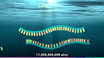 Filosofía universal