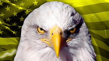 Filosofía universal