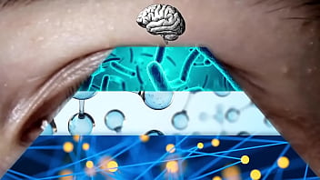 Filosofía universal