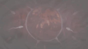 Roblox girl gets dominated by futa cock