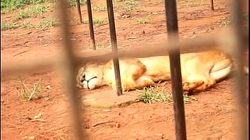 These two tourists crossing paths in a park could discover unexplored places and memorable moments together