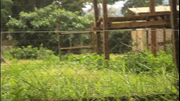 These two tourists crossing paths in a park could discover unexplored places and memorable moments together