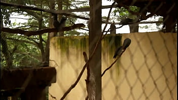 These two tourists crossing paths in a park could discover unexplored places and memorable moments together