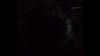 Eat me to pretty willie