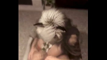 Huge tits moaning 3d