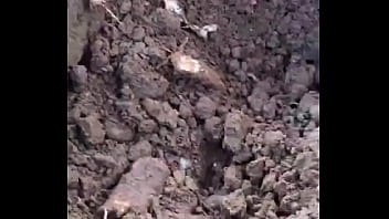 Reconversion pour aider avec sa boîte d'électricité t'en fais pas c'est juste cette semaine ça fait d