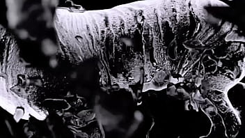 My scene with febby twiggs in vegas