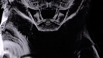 My scene with febby twiggs in vegas