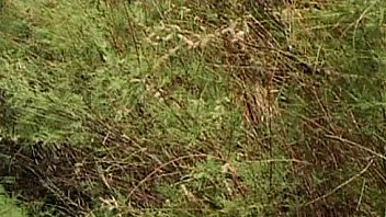 Metro young wet and wild 02 scene 2