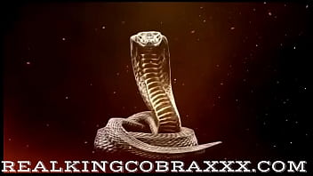 Give all that cobra cum to both my lilly lonestar sluts for cobra loads