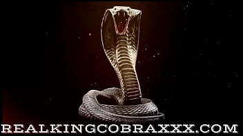 Give all that cobra cum to both my lilly lonestar sluts for cobra loads