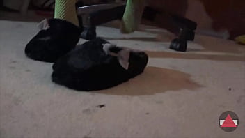 Bow down your going to get what you deserve