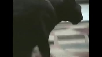 Alambrado dedos de mantequilla