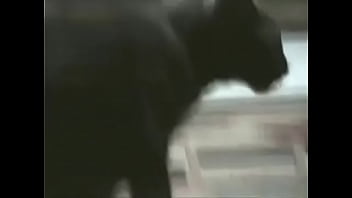 Alambrado dedos de mantequilla