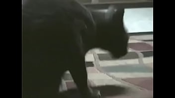 Alambrado dedos de mantequilla