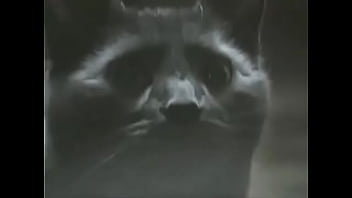 Alambrado Dedos De Mantequilla thumbnail