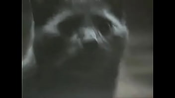 Alambrado dedos de mantequilla