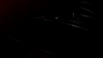 Sticking cock is her thing