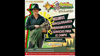 Agro melones gigantes