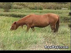 Play MP4 - Latino Wants Some Bareback Action