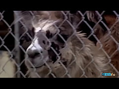 Play MP4 - A busty blonde gets a cock in her cunt after giving a guy a blowjob&period;