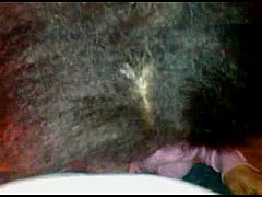 Play MP4 - xxxgfheadwdog