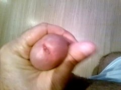 Play MP4 - 2015-06-20-3170