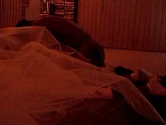 Play MP4 - DSCN9424&period;MOV