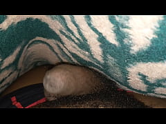 Play MP4 - Skomora mfana wa pheli