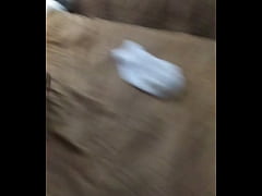 Play MP4 - Shawty Red &lpar;334&rpar;