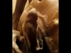 Play MP4 - Mayate activo de Villahermosa Ocuil