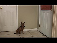 Play MP4 - HDVBM0513-19